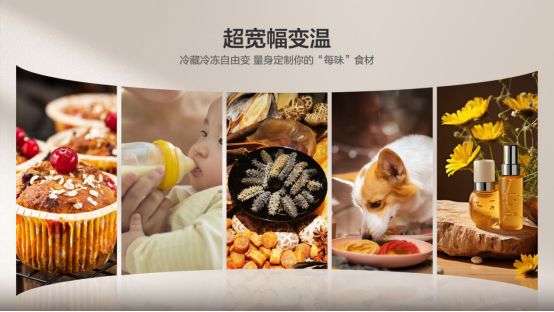 TCL双系统平嵌冰箱T9Pro-新闻通稿1-PR(1)2155.png