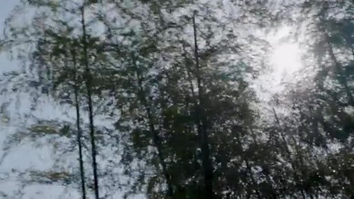 李3.jpg